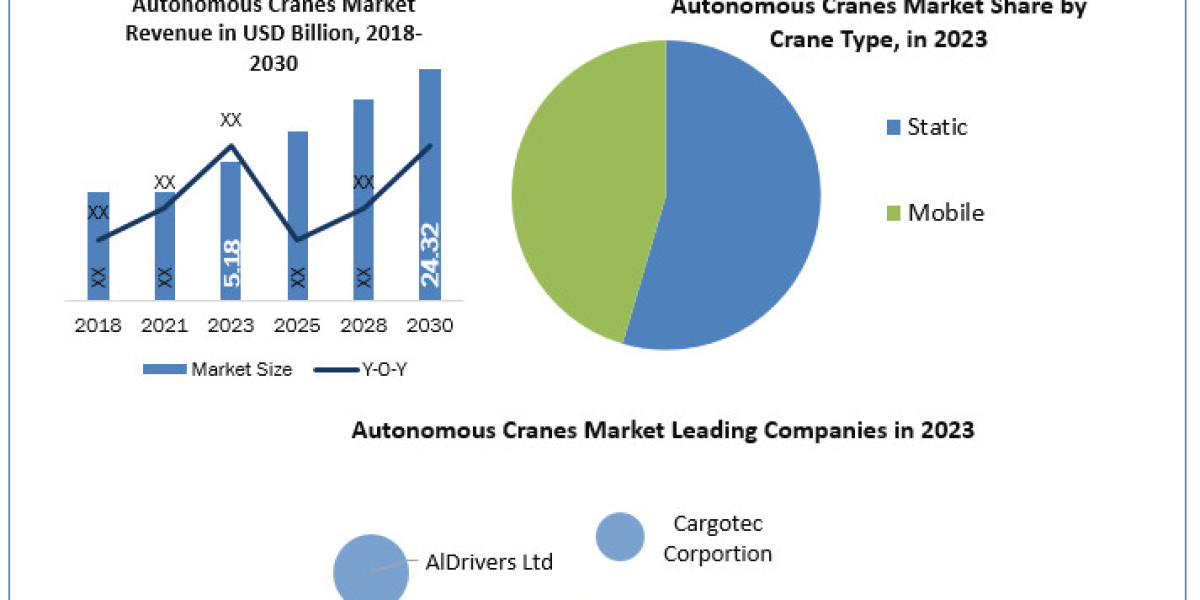 Autonomous Cranes Market Trends, Business Share, Industry Demand And Analysis 2030