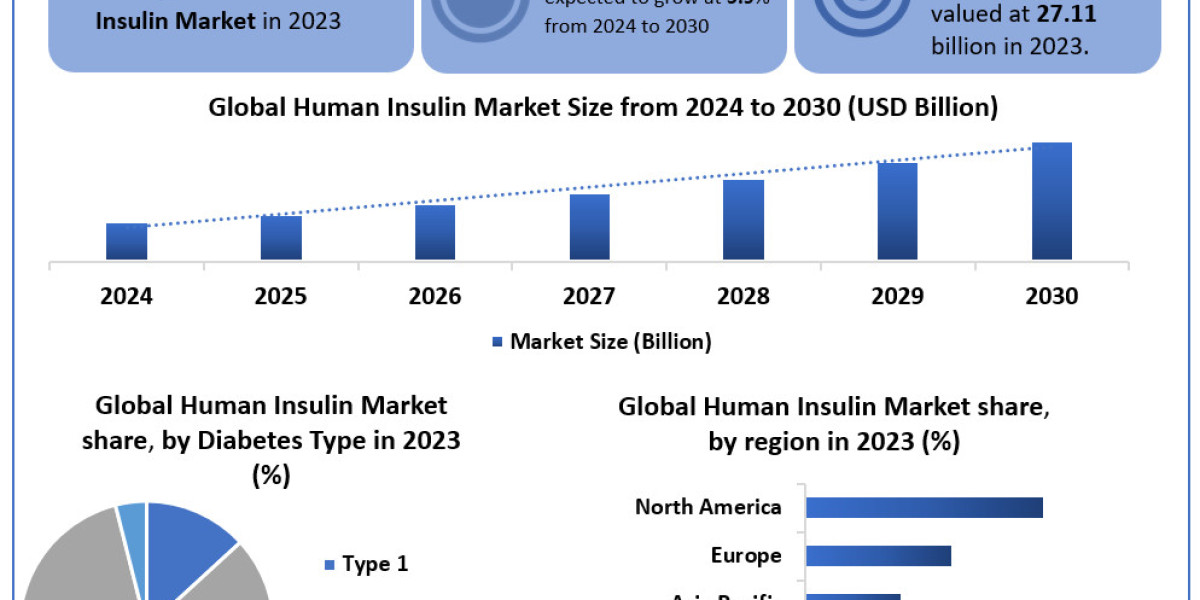 Human Insulin Market Manufacturers, Suppliers, Vendors Sales, Revenue, Market Share 2024 to 2030