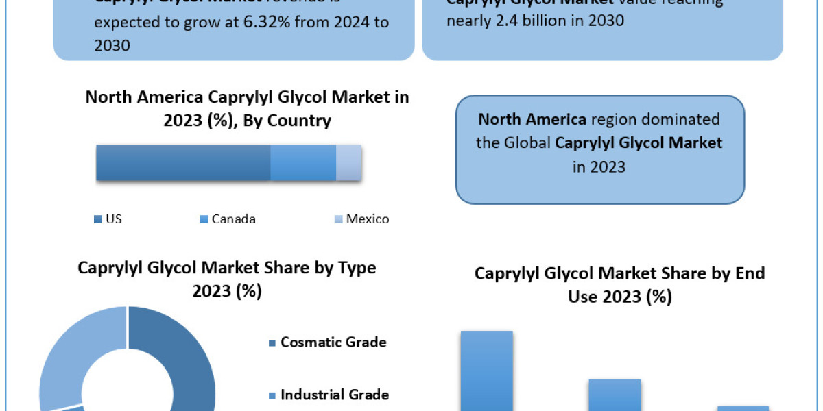 Caprylyl Glycol Market Industry Outlook, Size, Growth Factors, and Forecast To, 2030