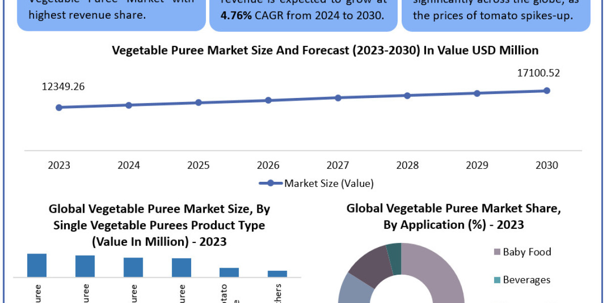 Vegetable Puree Market 2030 Insights Highlight 4.76% CAGR Expansion