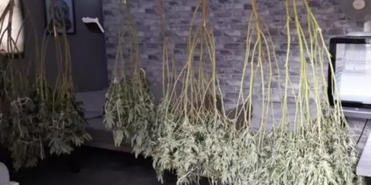 Harry Potter-Inspired Drug Dealer Jailed - 4.5 Years