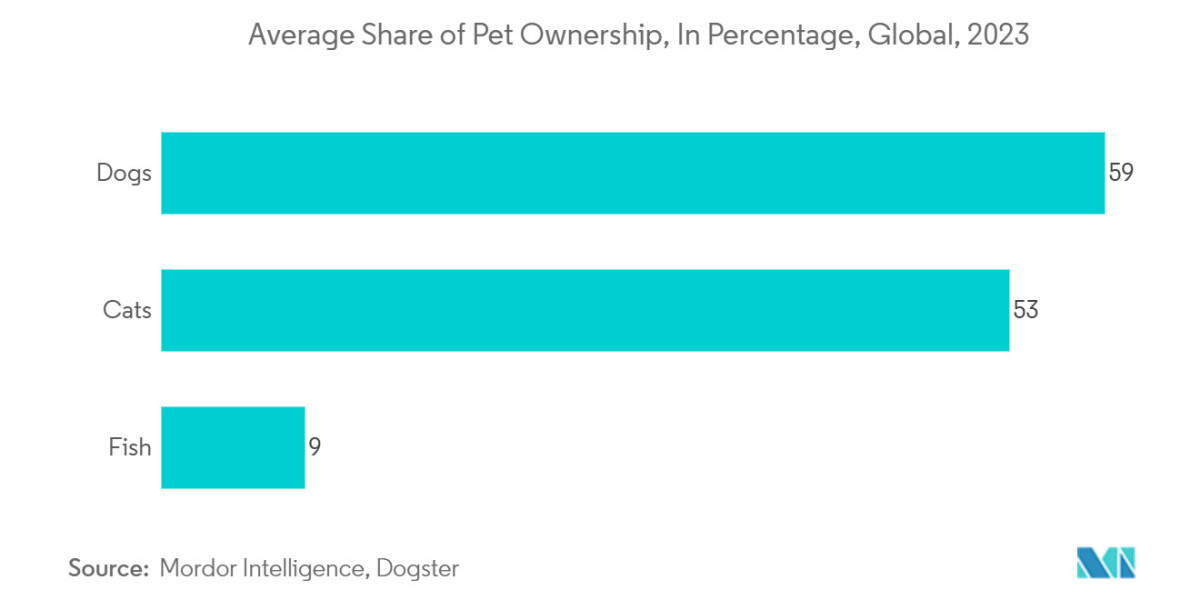 Pet Hotel Market Positioned for Accelerated Growth