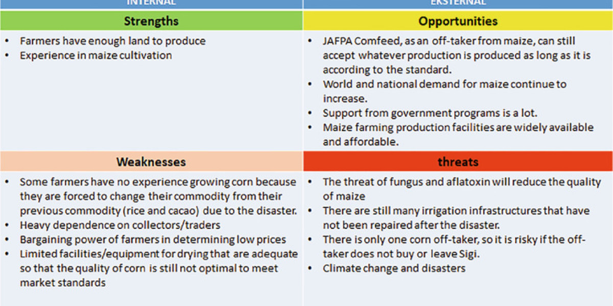 Maize Market SWOT Insights Highlighting Leading Industry