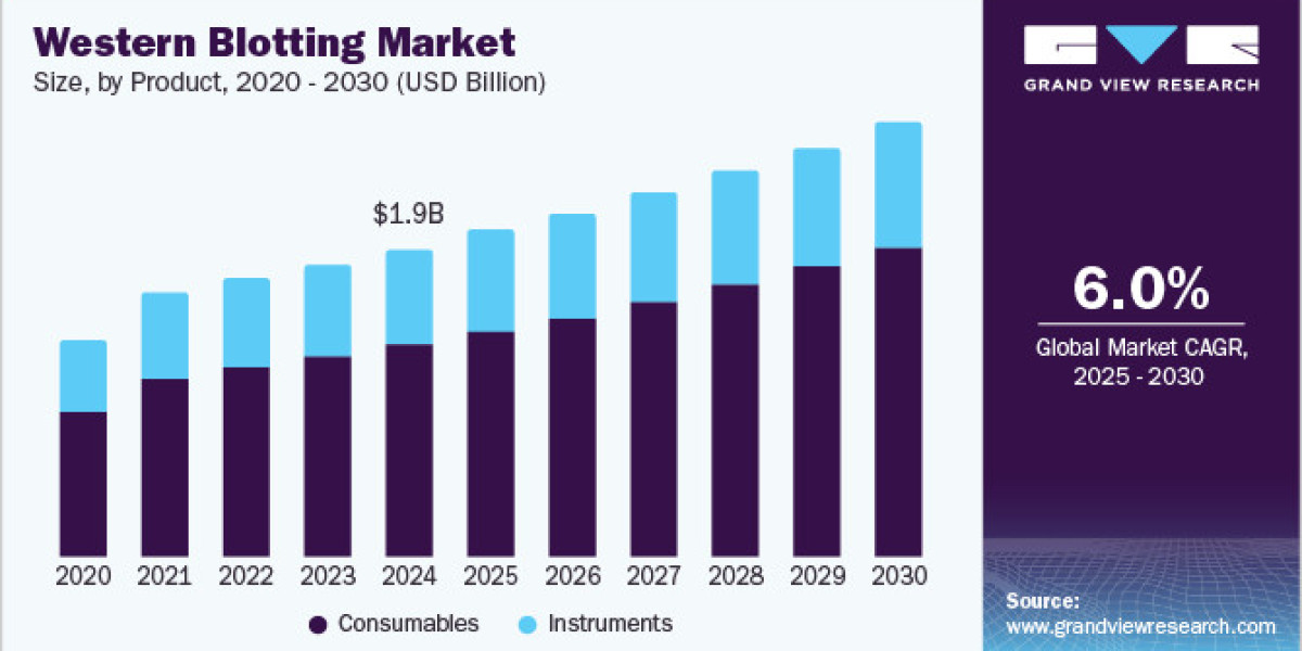 Western Blotting Market Experiencing Rapid Expansion