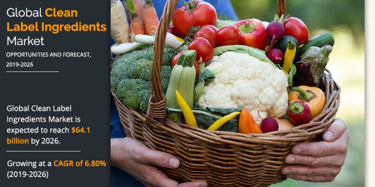 Food Clean Label Ingredients Market to Witness Major Growth by 2036
