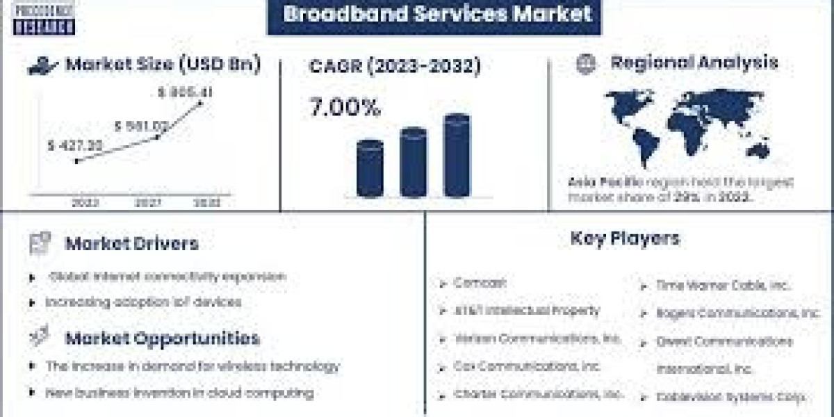 Broadband Services Market Experiencing Rapid Surge in Demand