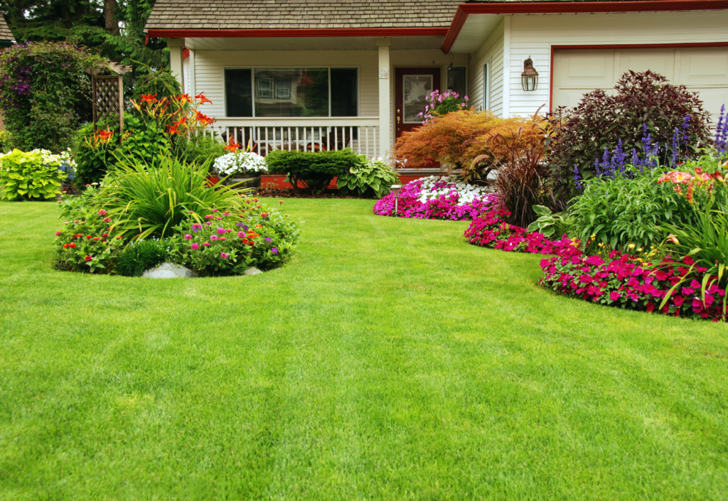 5 Hidden Benefits of Lawn Care in Cape Cod You Haven’t Considered - Idea Epic