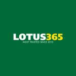 Lotus365gen Profile Picture