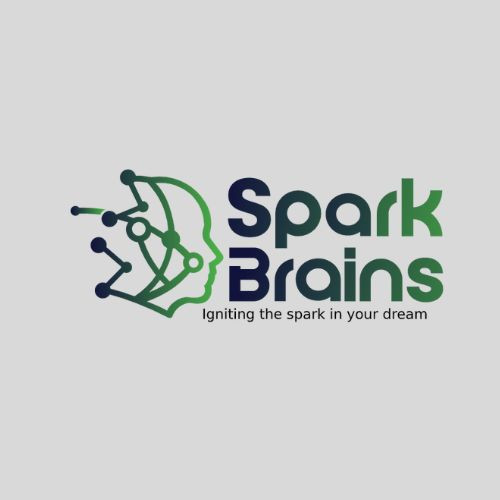 SparkBrains Best Software Company for Your B Profile Picture